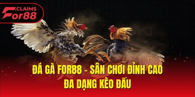 Đá gà For88 - Sân chơi đỉnh cao, đa dạng kèo đấu